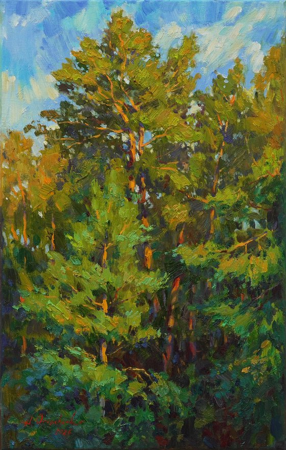 Pine forest