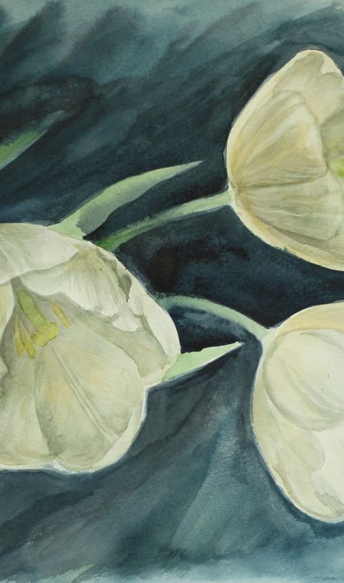 White tulips by Julia Gogol