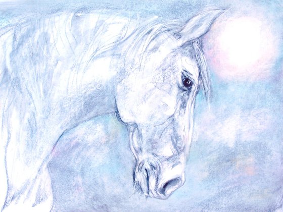 Dawn Horse 3