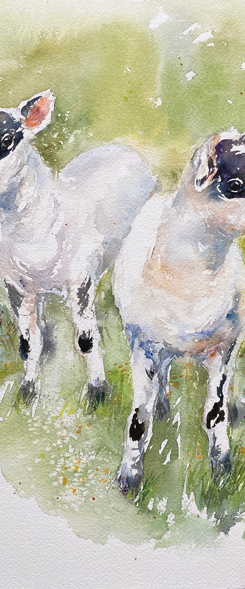 Spring Lambs by Arti Chauhan