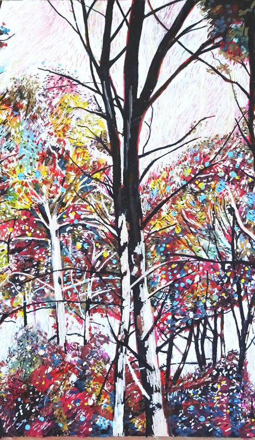 Woodlands 5 by Roz Edwards
