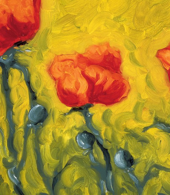 Two Point Five Poppies