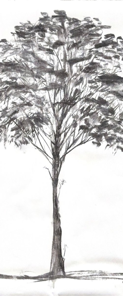 Sketch of Tree by Gozde Temiz Istanbul