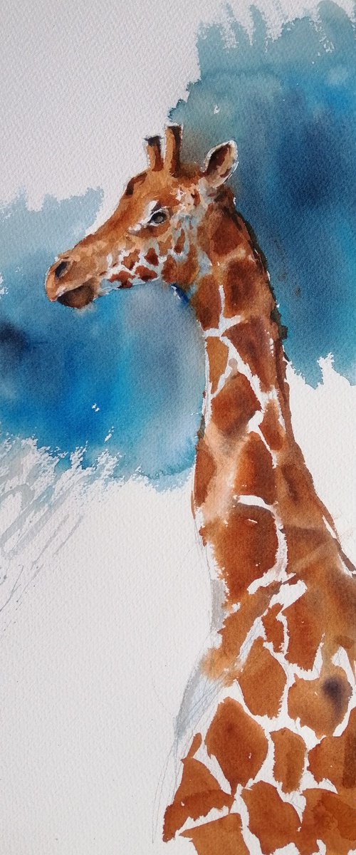 giraffes 4 by Giorgio Gosti