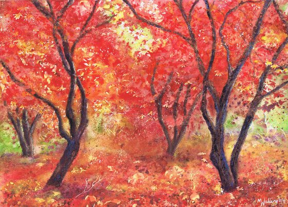 Autumn Trees (Forever Autumn)