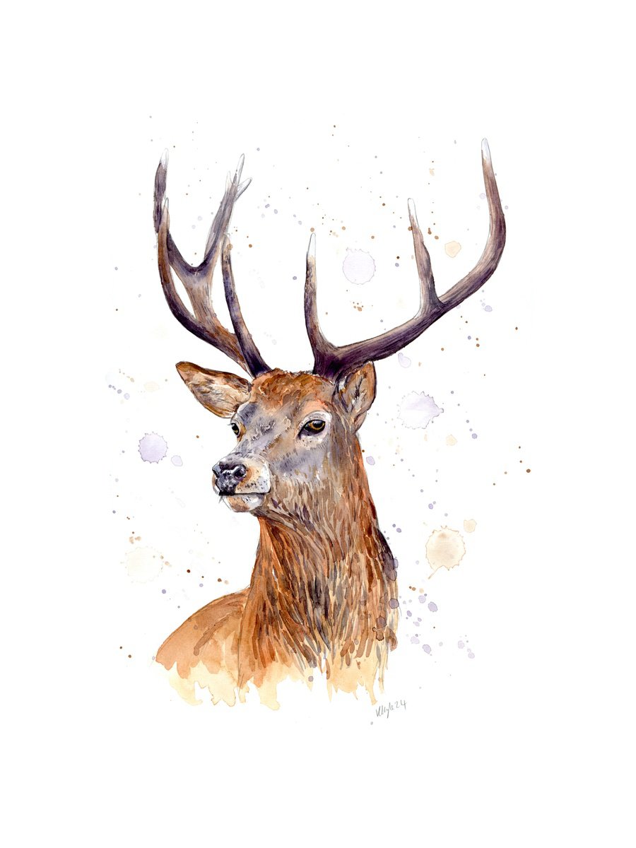 Majestic Stag by Kathryn Coyle