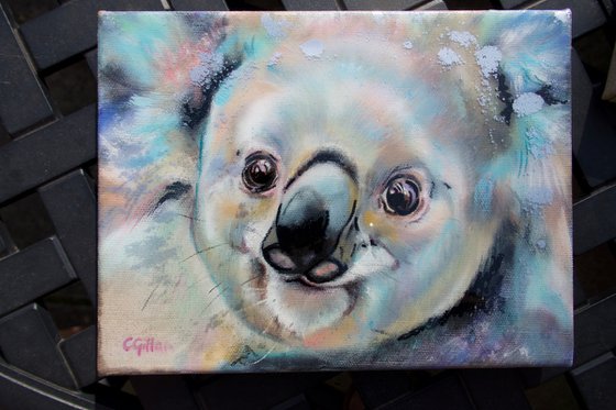 Clarence Koala Bear