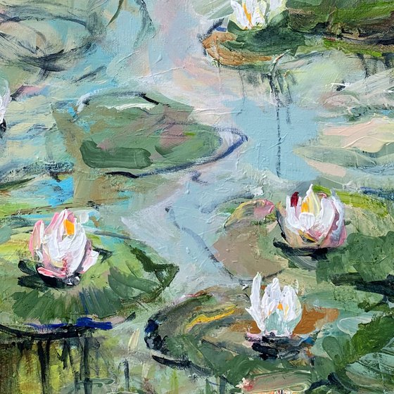 Water lilies