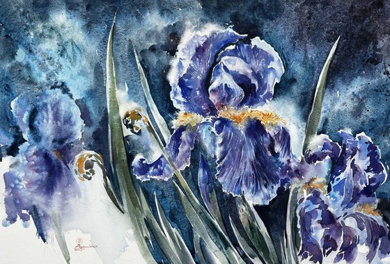 Blue Iris #5