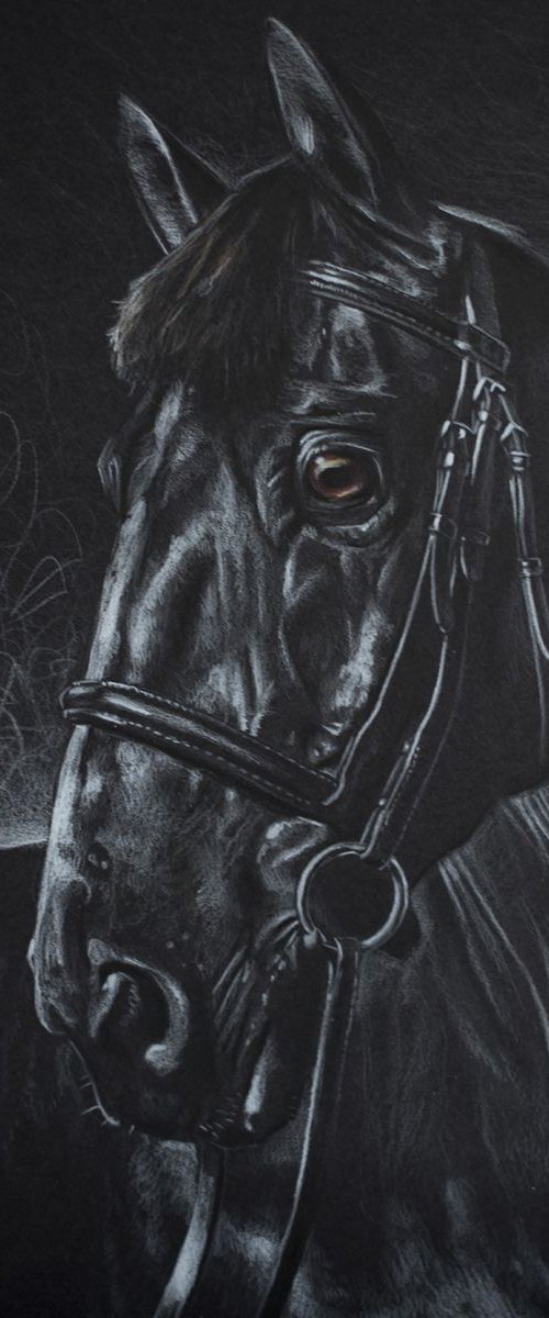 Black Horse by Michael Juniper