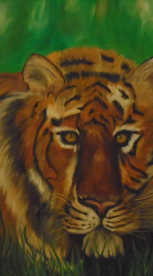 Tiger by Timea  Valsami