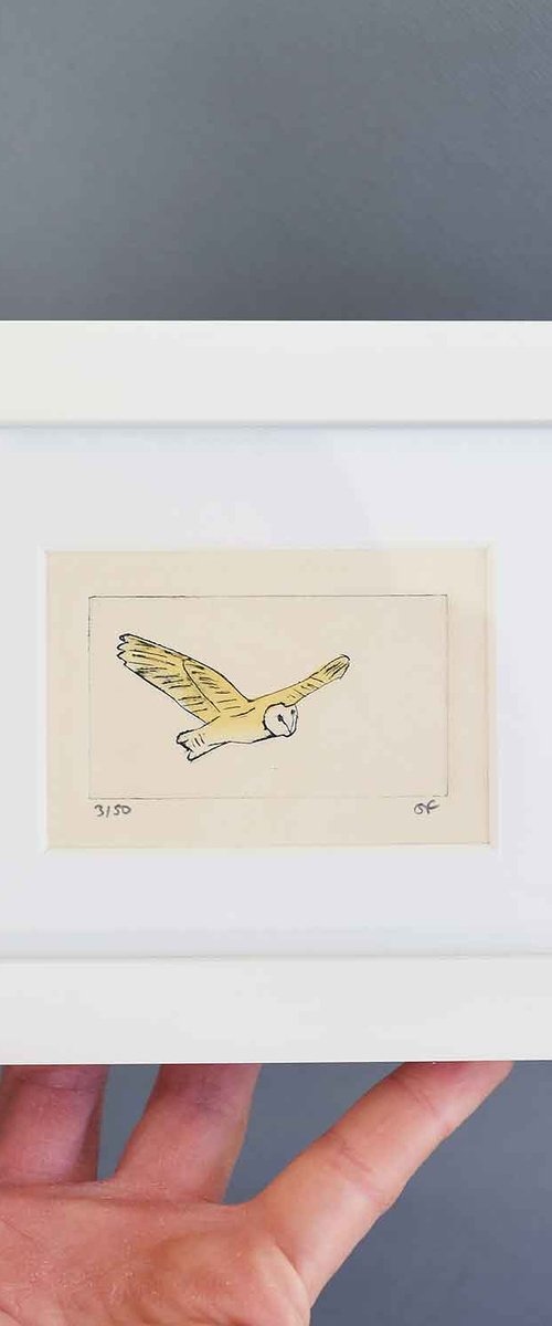 Small framed barn owl by Sally Fisher