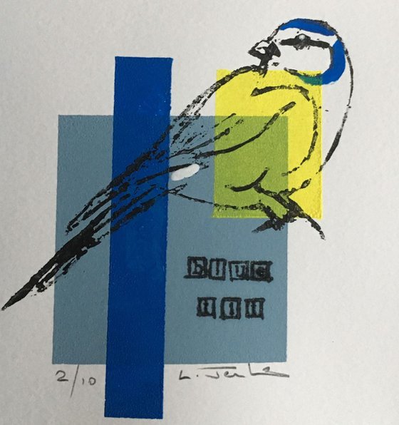 Blue Tit