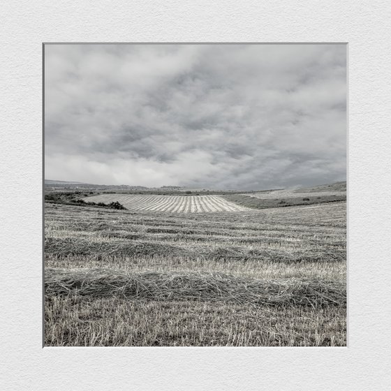 Countryside