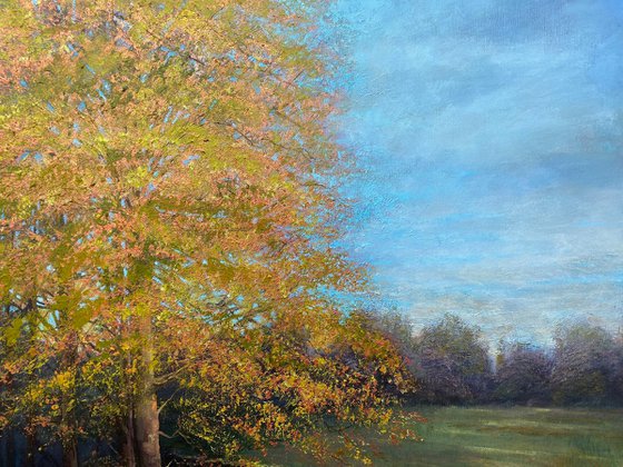 Spring Landscape