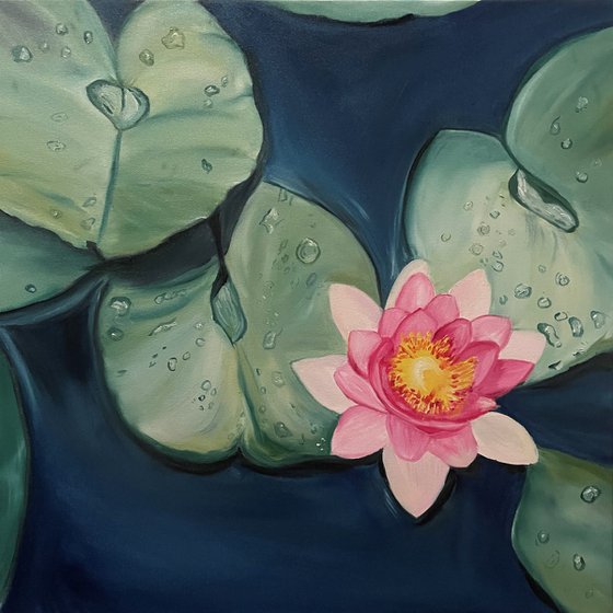 The Lonely Lotus