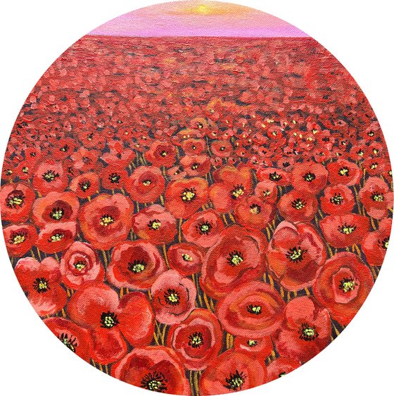 Red poppy field