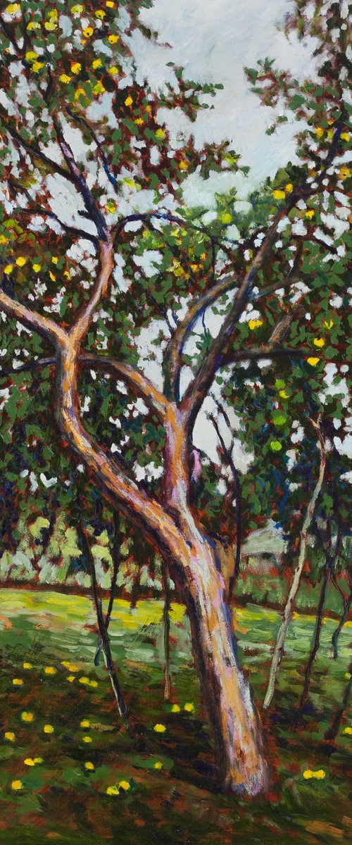 Apple Tree by Liudmila Pisliakova
