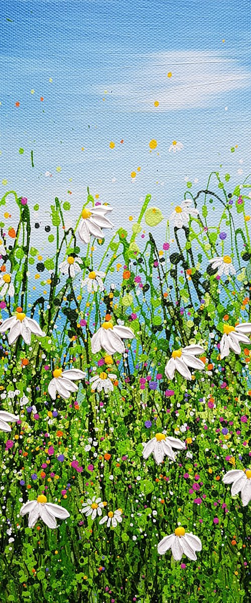 Delightful Daisy Meadows #4 by Lucy Moore