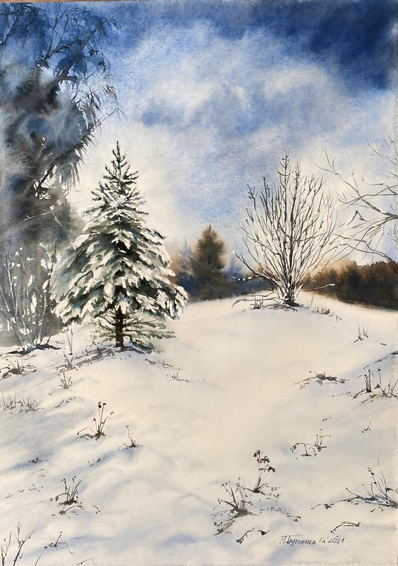 Christmas tree was born in the forest