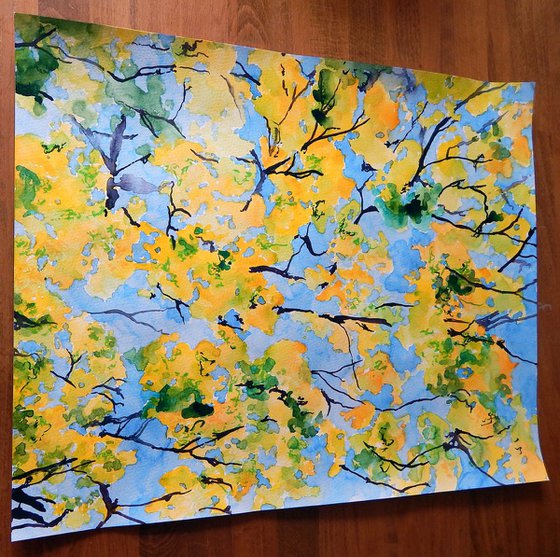 Yellow leaves