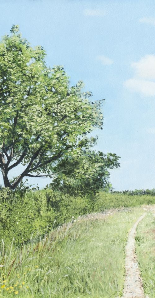 Narrow Path by Christopher Witchall