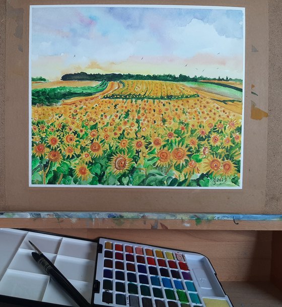 SUNFLOWER FIELD