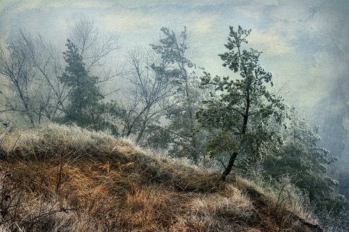 "In the mist of autumn". Scene 7 "Toward the winter" by Valerix
