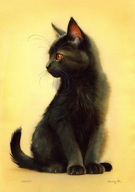 Kitten VI