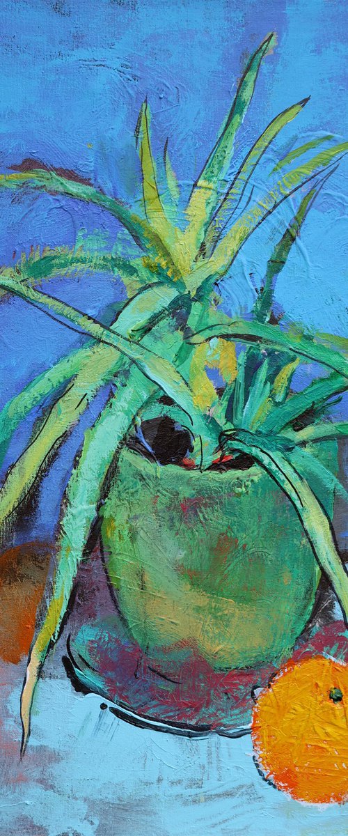 Aloe and orange by Artem Andreichuk