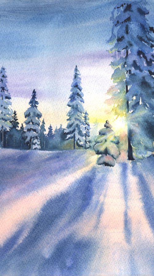 Winter Forest in Gentle Sunlight by Maryna Boiko