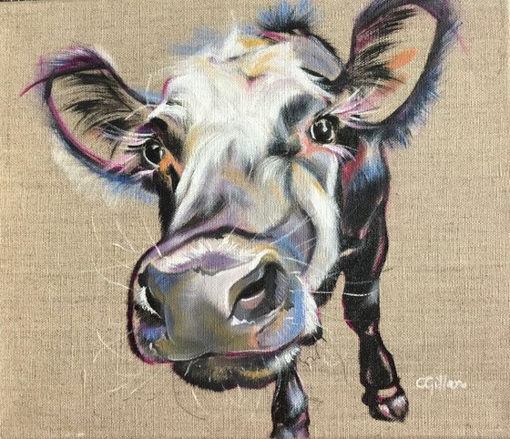 Tasty - White cow original oil painting