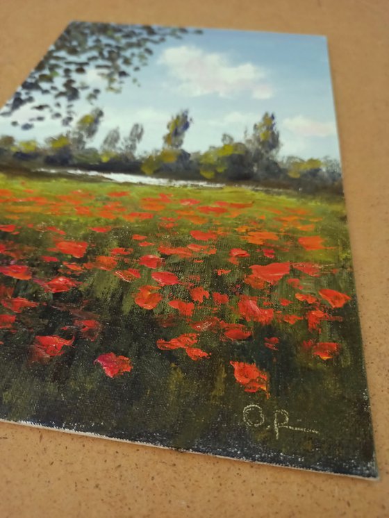Poppies by the river