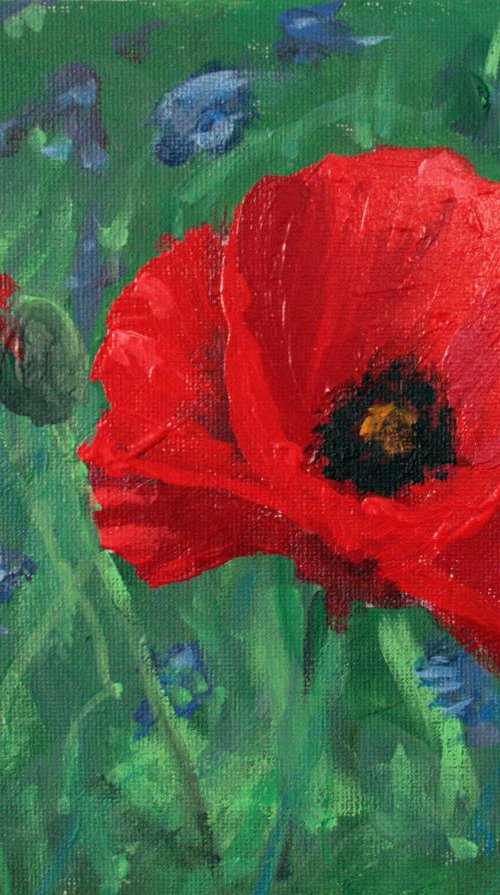 Poppy / Original Painting of Salana by Salana Art Gallery