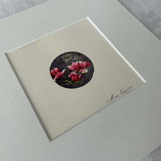 Magnolia miniature