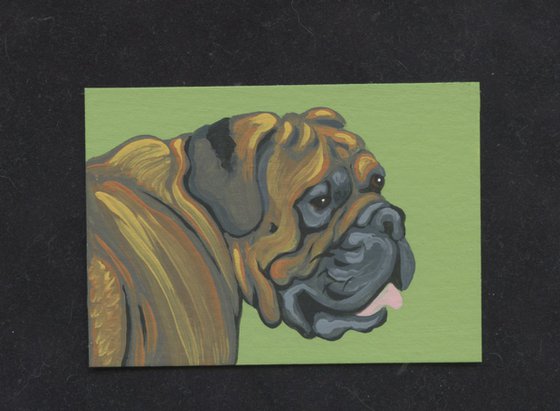 ACEO ATC Original Miniature Painting  Mastiff Pet Dog Art-Carla Smale