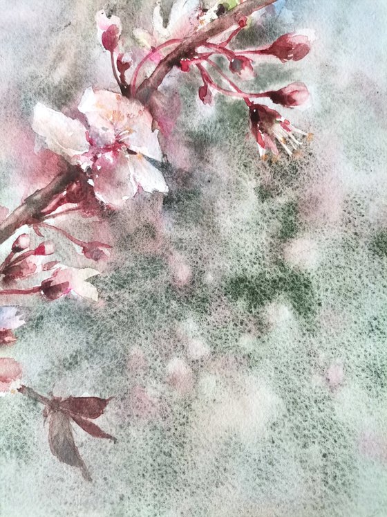 Blooming trees