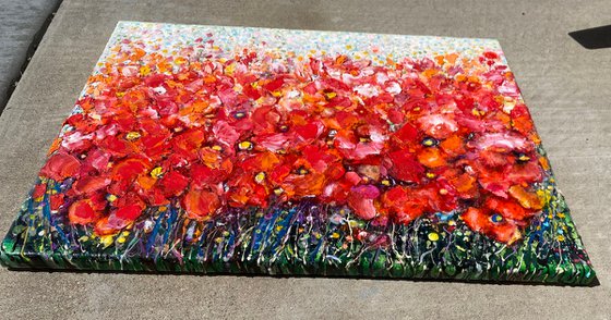 Poppy Field