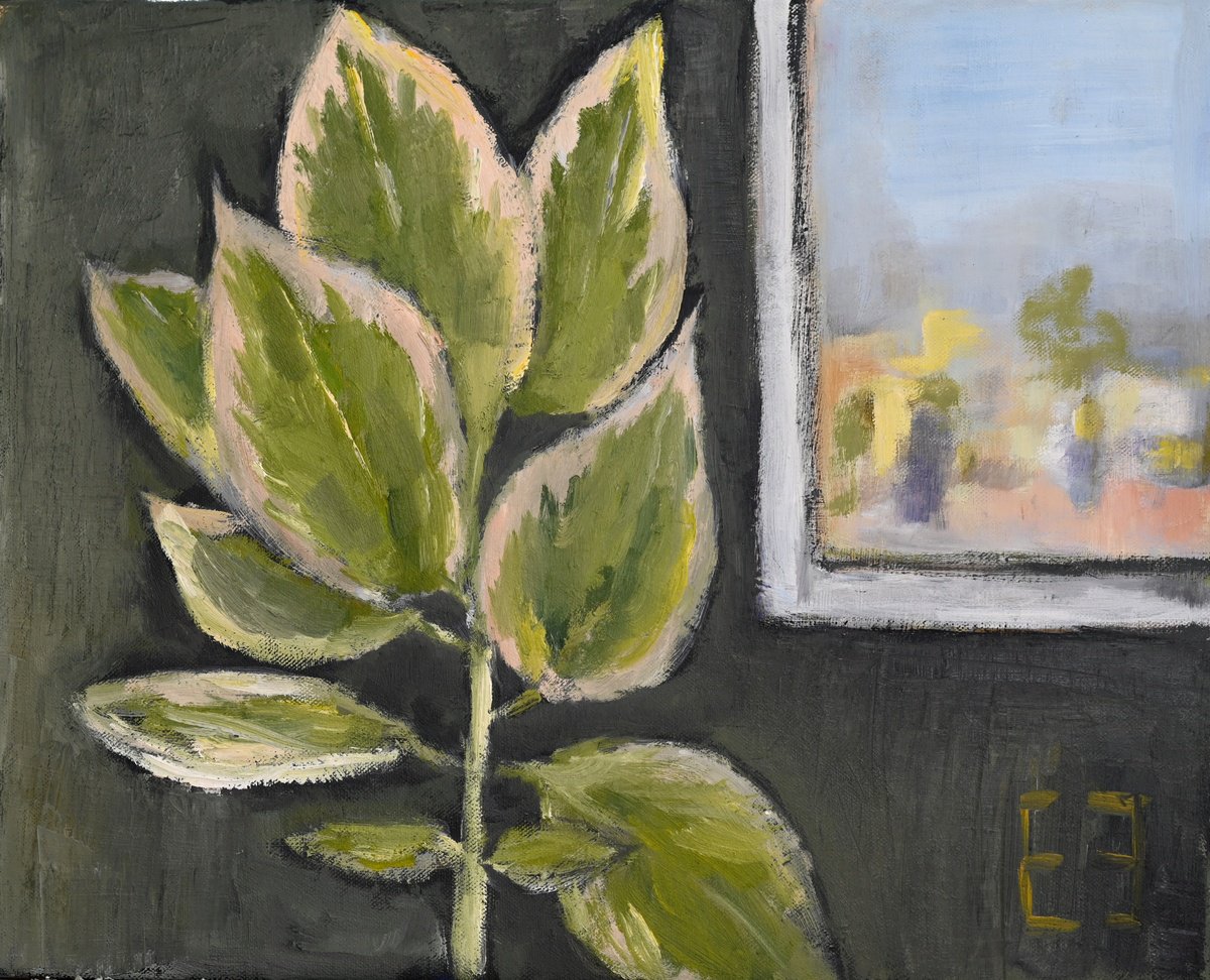 Impressionistic Botanical Oil Painting By Elena Zapassky, 20 X 16, Young Ficus, Original Artwork