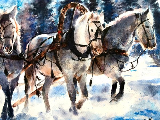 Horses in Winter