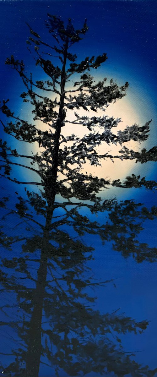 Nocturnal Pines by Alla Kallas