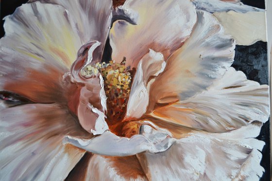 Peonies' Voice 2