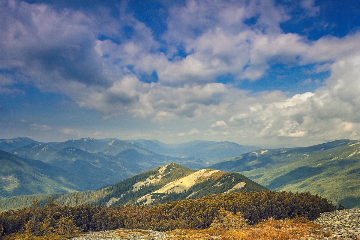 Summer in the Carpathian Mountains. by Valerix