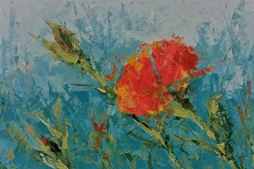 Red carnation in the garden. by Marinko Šaric