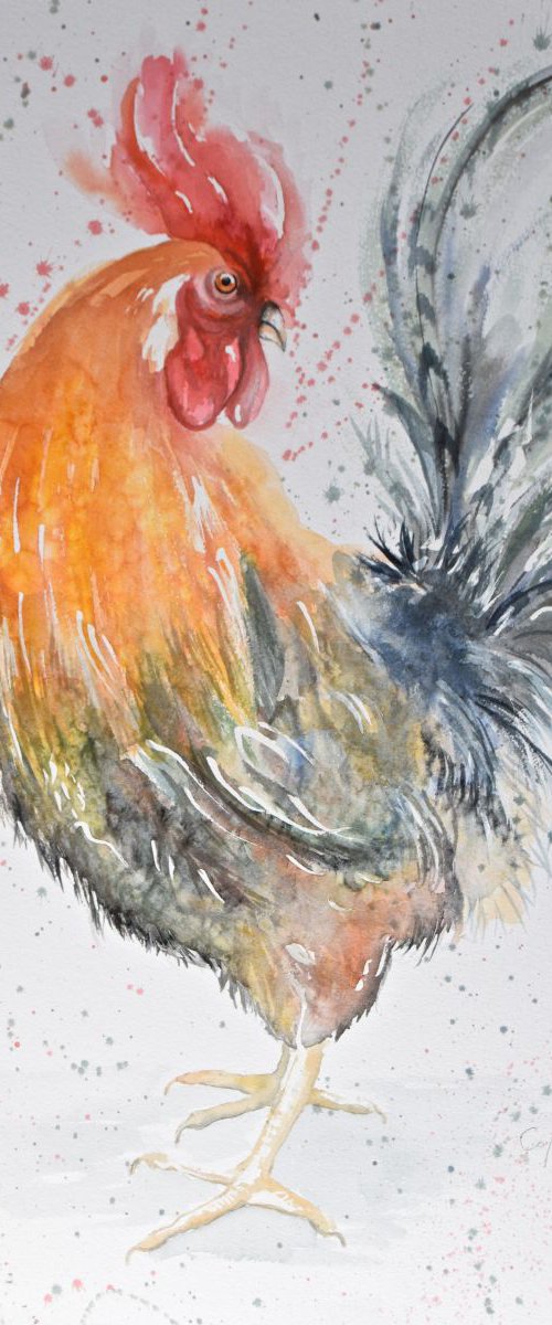 'Doodle Do' by Nicola Colbran