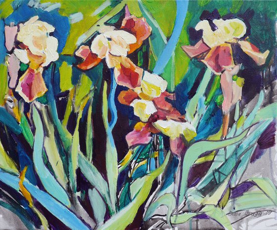 Irises, evening time