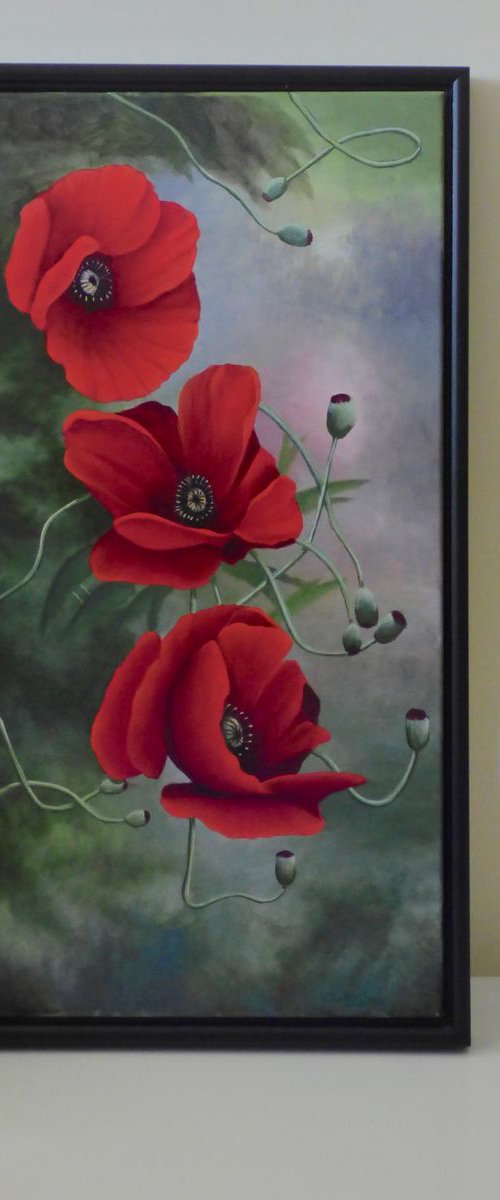 Tuscan Poppies by Gilbert Lessard