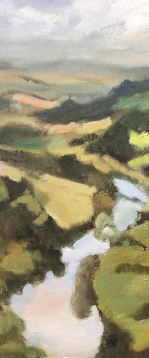 Symonds Yat view Painting by Julian Lovegrove Art