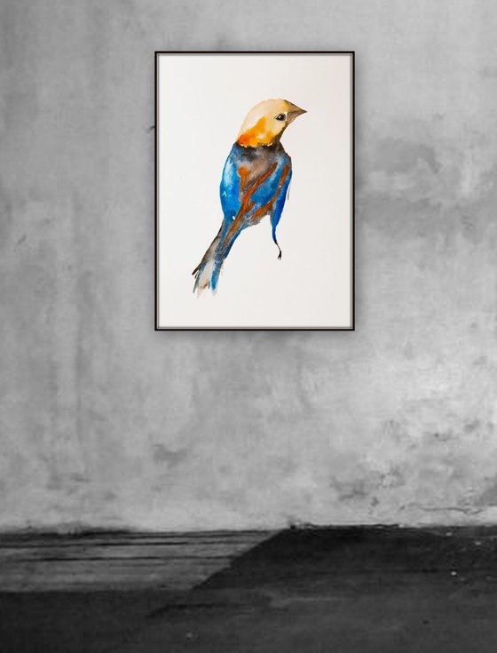 Bird