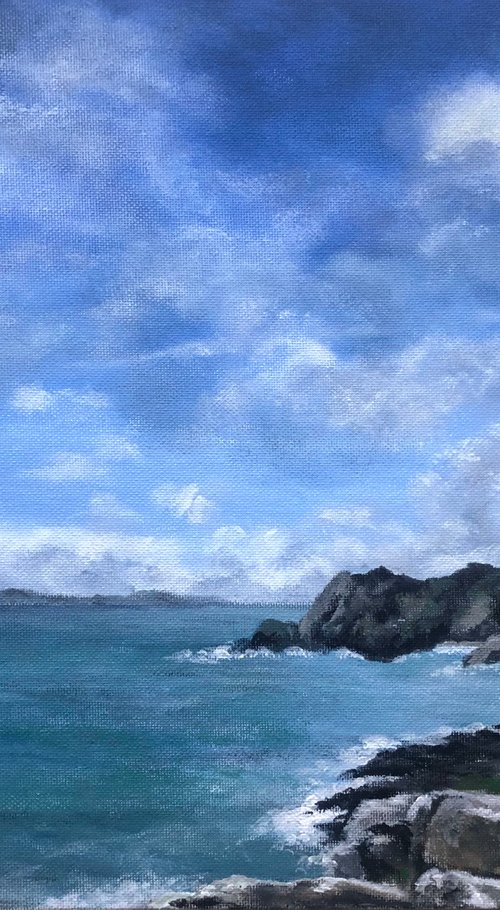 Salcombe Bay by Jill Aspin